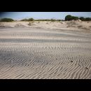 Somalia Desert 11