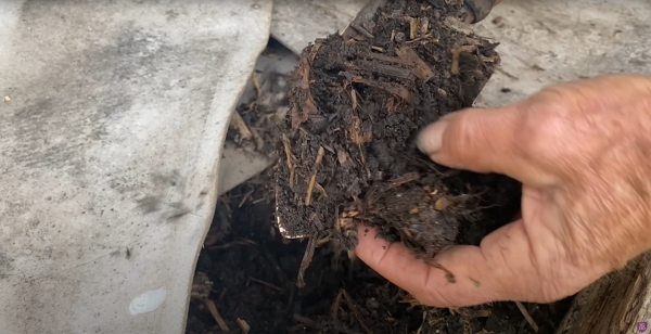 7-month-old compost