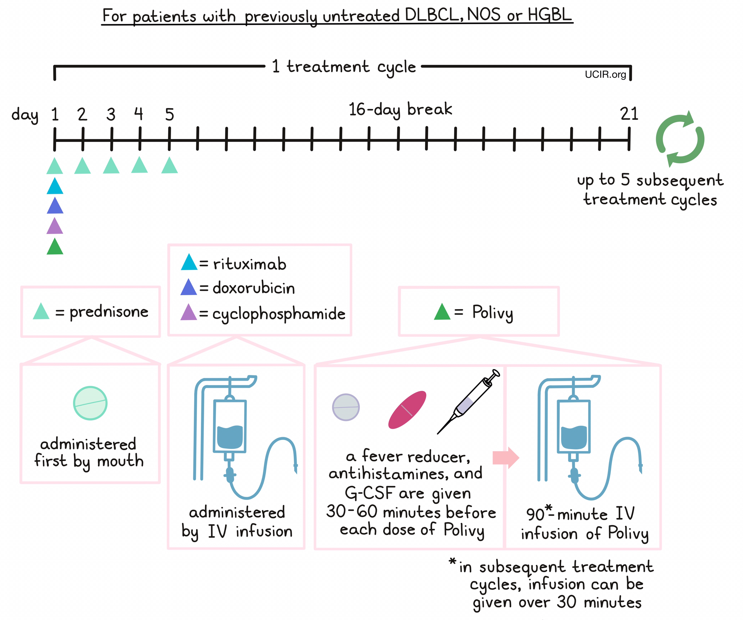 Illustration showing how Polivy is administered 