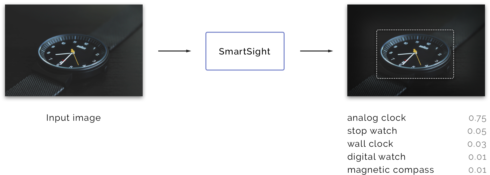 SmartSight data flow schema