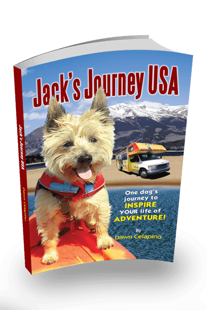 Dog Book Review: Jack's Journey USA