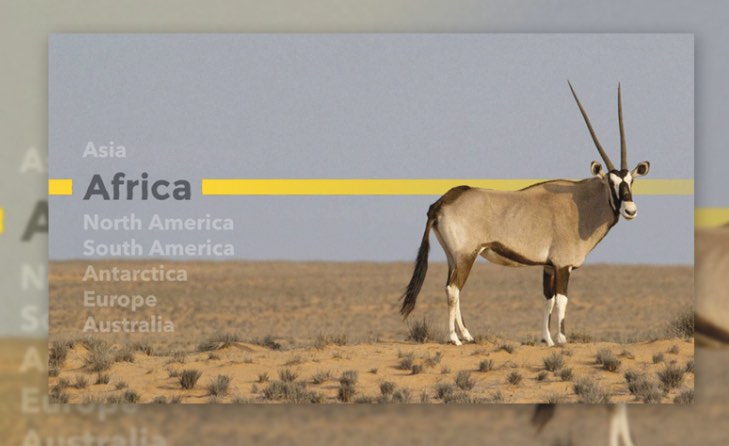 Tutorial Efek Distortion