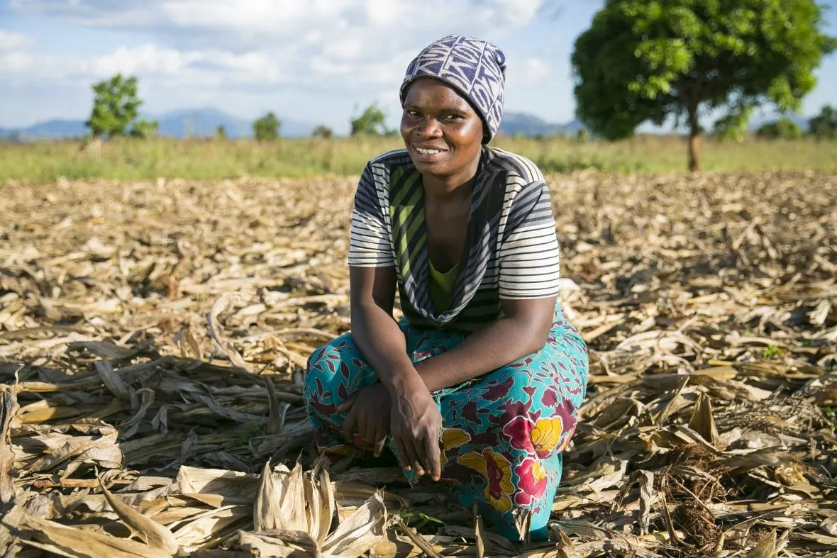 A women farmer in Malawi with a conservation agriculture plot