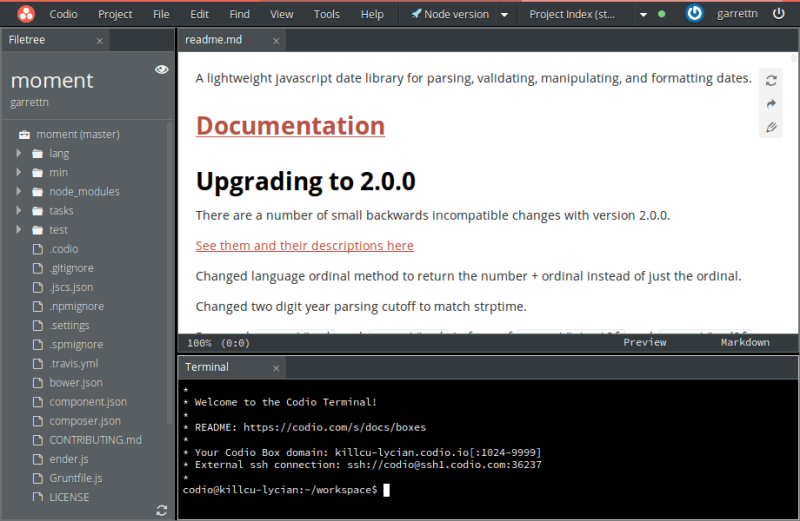 Screenshot of Codio's IDE
