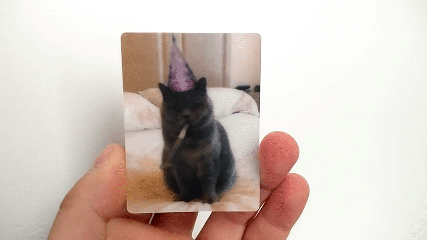 Sticker of Birthday Cat