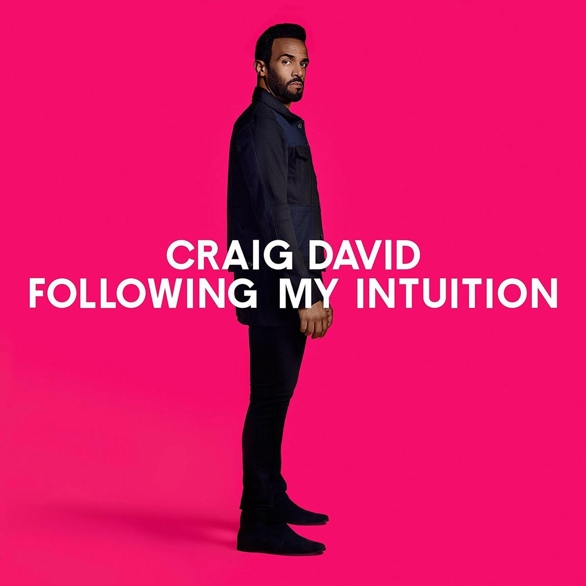 Craig David / Following My Intuition