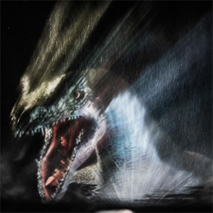 IL DRAGO DEL CASTELLO