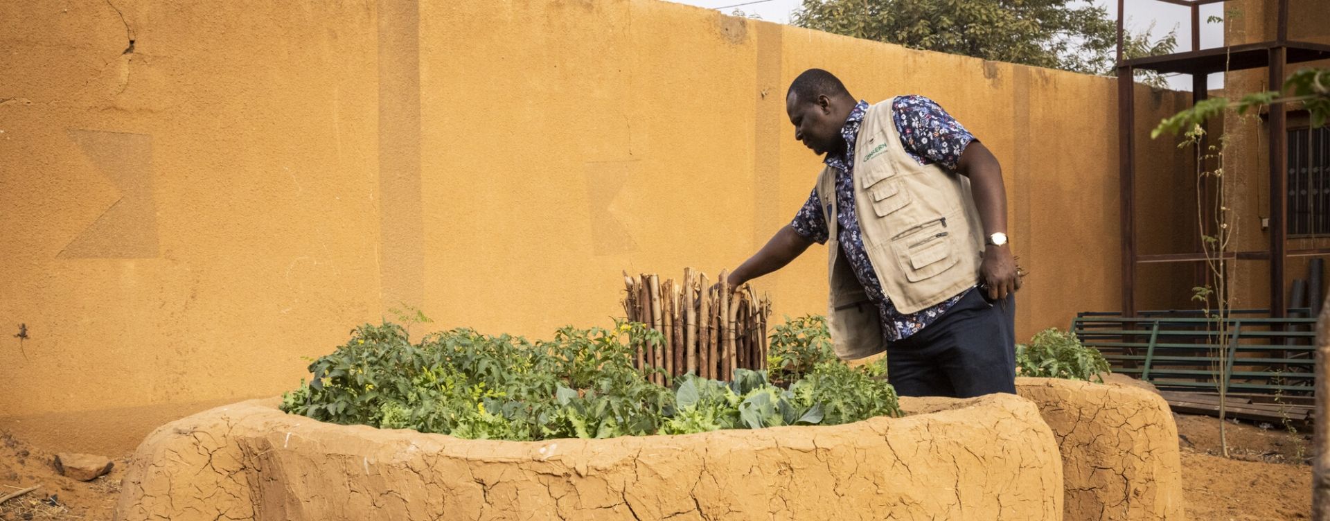 Boubacar Abdulaye, a Concern Niger staff member, tends to a keyhole garden surrounded by clay walls