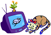 The Cat and the Cartoon The Cat and the Cartoon