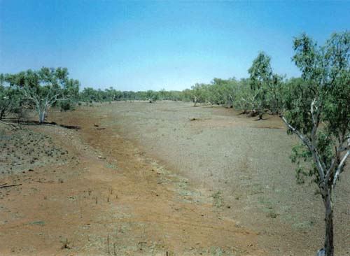 Outback dry riverbed