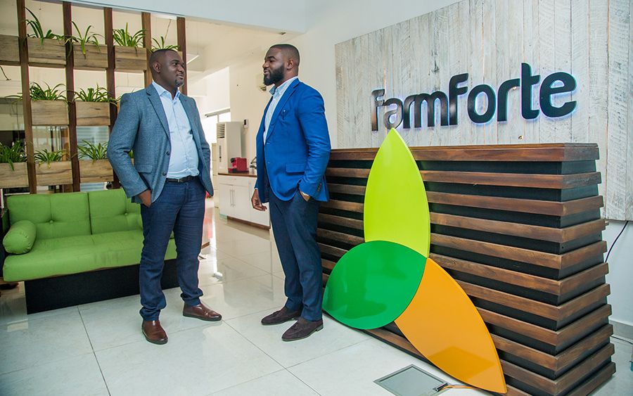 Farmforte (Nigeria) Office - Check DC Brand Implementation