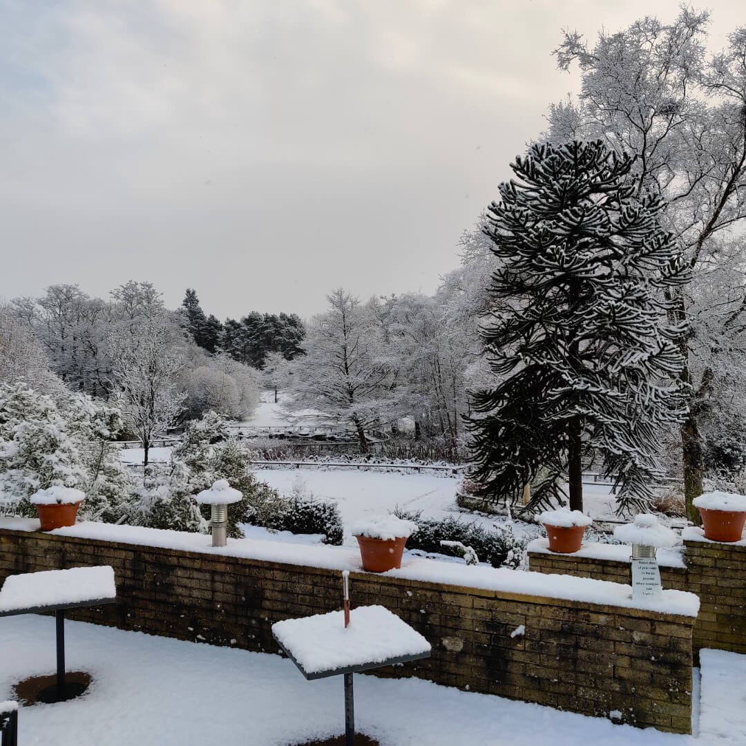 Golden Acre Park cafe in the snow