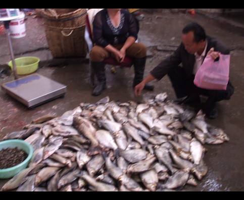 China Fish Markets 23