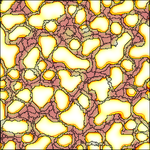 Coupling CPM and PDE: Vascular Patterning