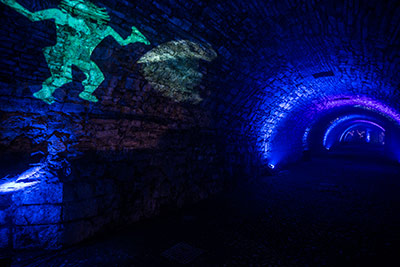 Installazione Cidneon 2019