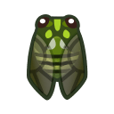 Robust Cicada