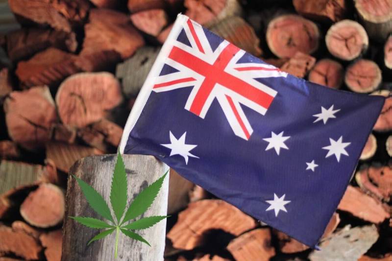 Why Marijuana Should Be Legal