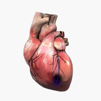 Semnele infarctului - Centrele ARES | Lider in Cardiologie