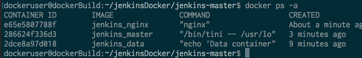 shell showing results of docker ps -a