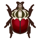 Goliath Beetle