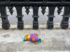 :-( Somebody lost a toy …

Vienna, Austria, 2017