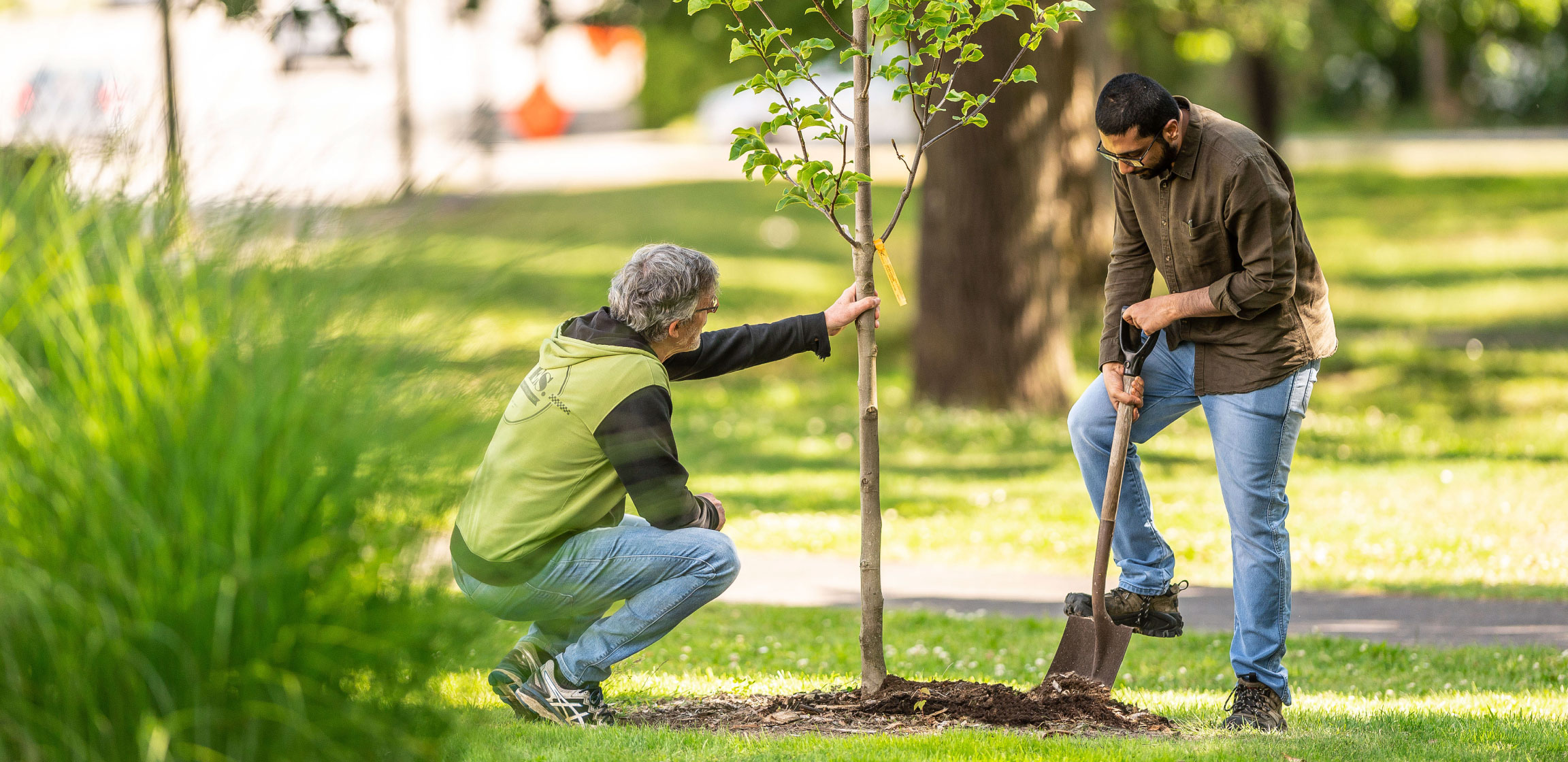 Two people plant a new tree to help fight climate change in their neighbourhood