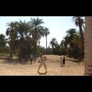 Sudan Nile Oasis 16