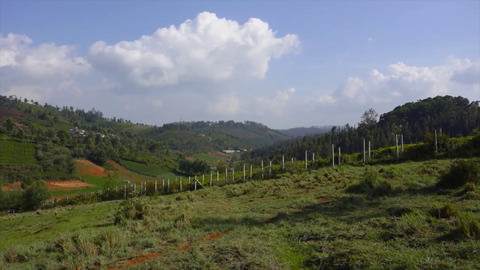 Plot 1 Creekside - Laidlaw School forest view