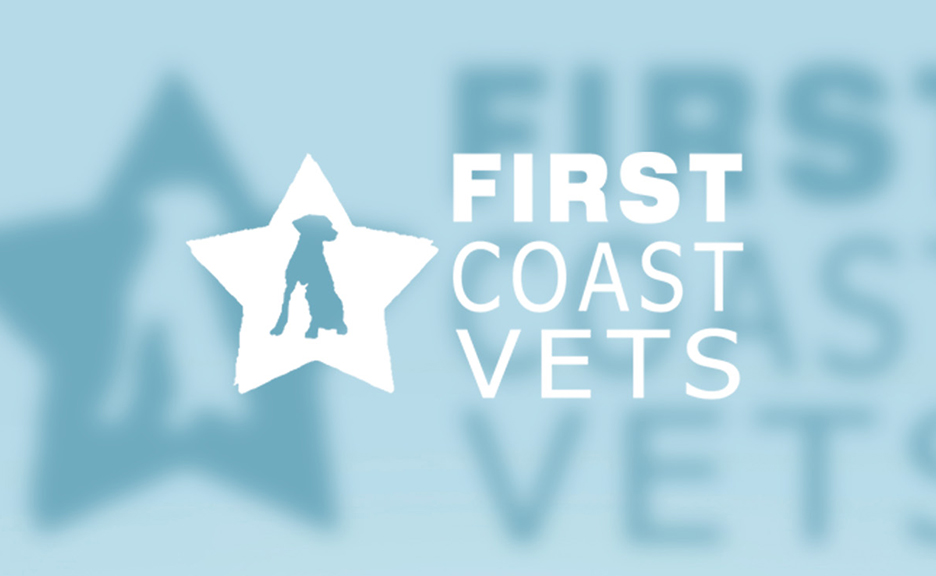 First Coast Vets Marketing Campaign
