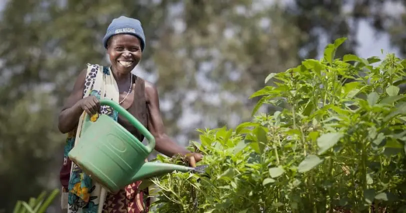 Euphemia Inina waters their market garden at her home in Mabayi, Cibitoke.  As part of the Graduation Programme all participants are given seeds and training on how to grow food in their gardens.