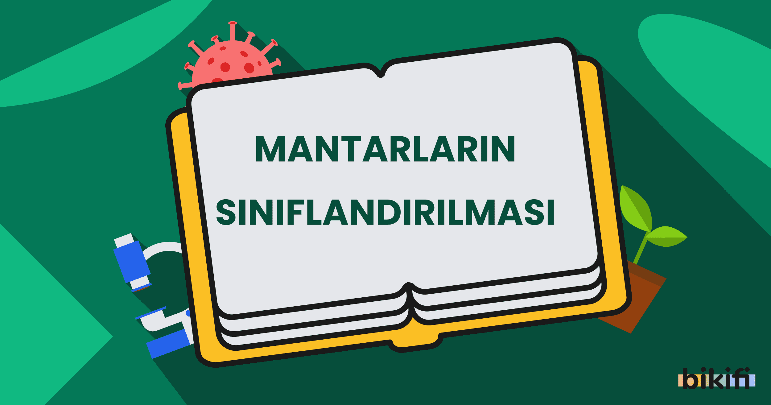 Mantarların Sınıflandırılması