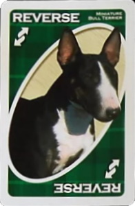 American Kennel Club: Terrier Group Green Uno Reverse Card