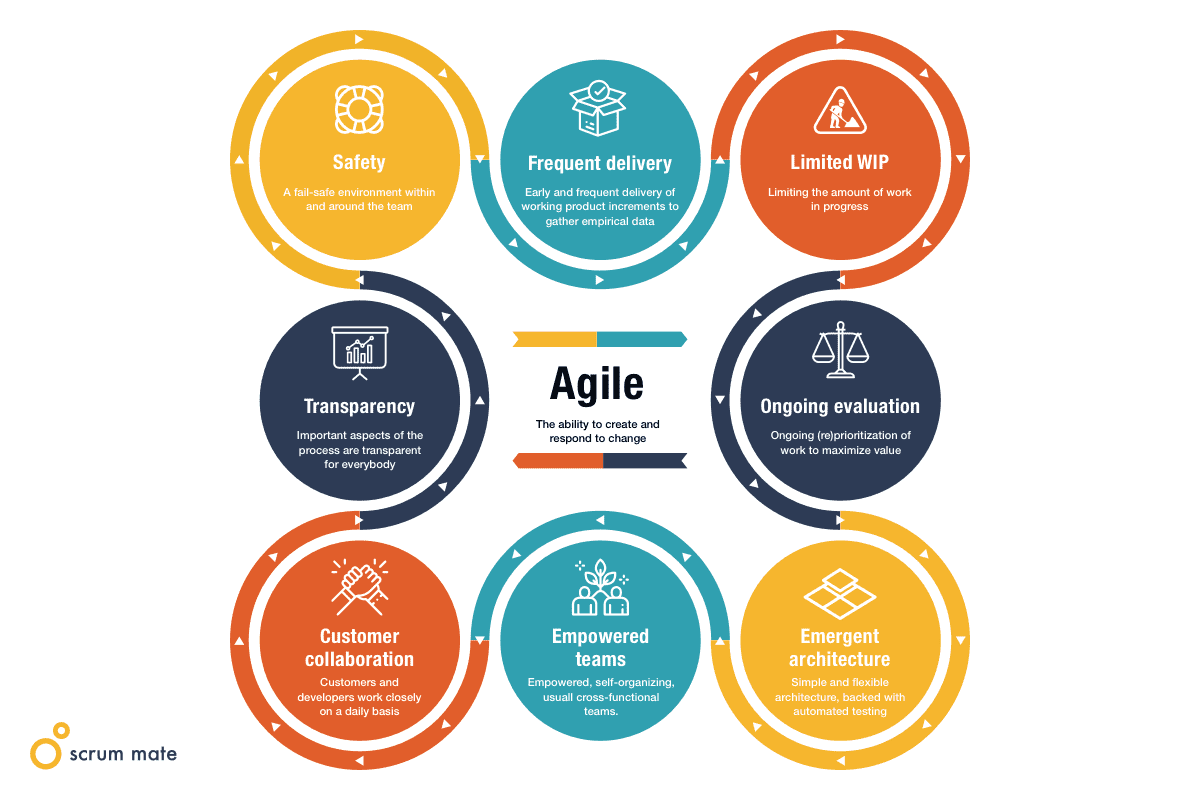 The agile model