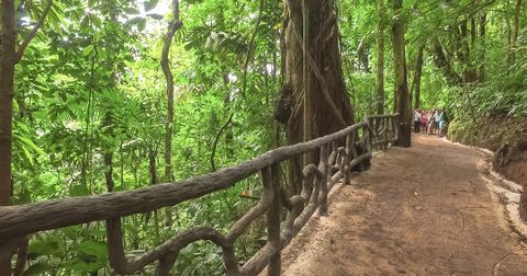 Mistico Hanging Bridges Arenal Volcano Costa Rica