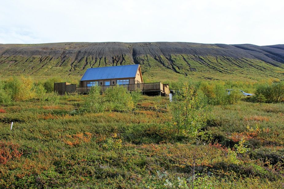 The house and the lovely forest surrounding it hot tub North Iceland
