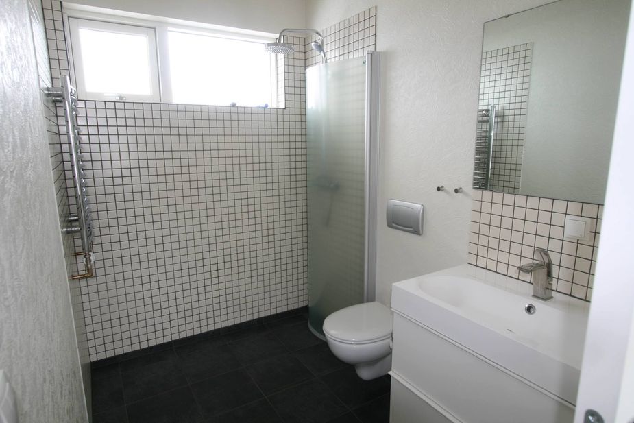 Bright bathroom with a walk in shower, sink and WC