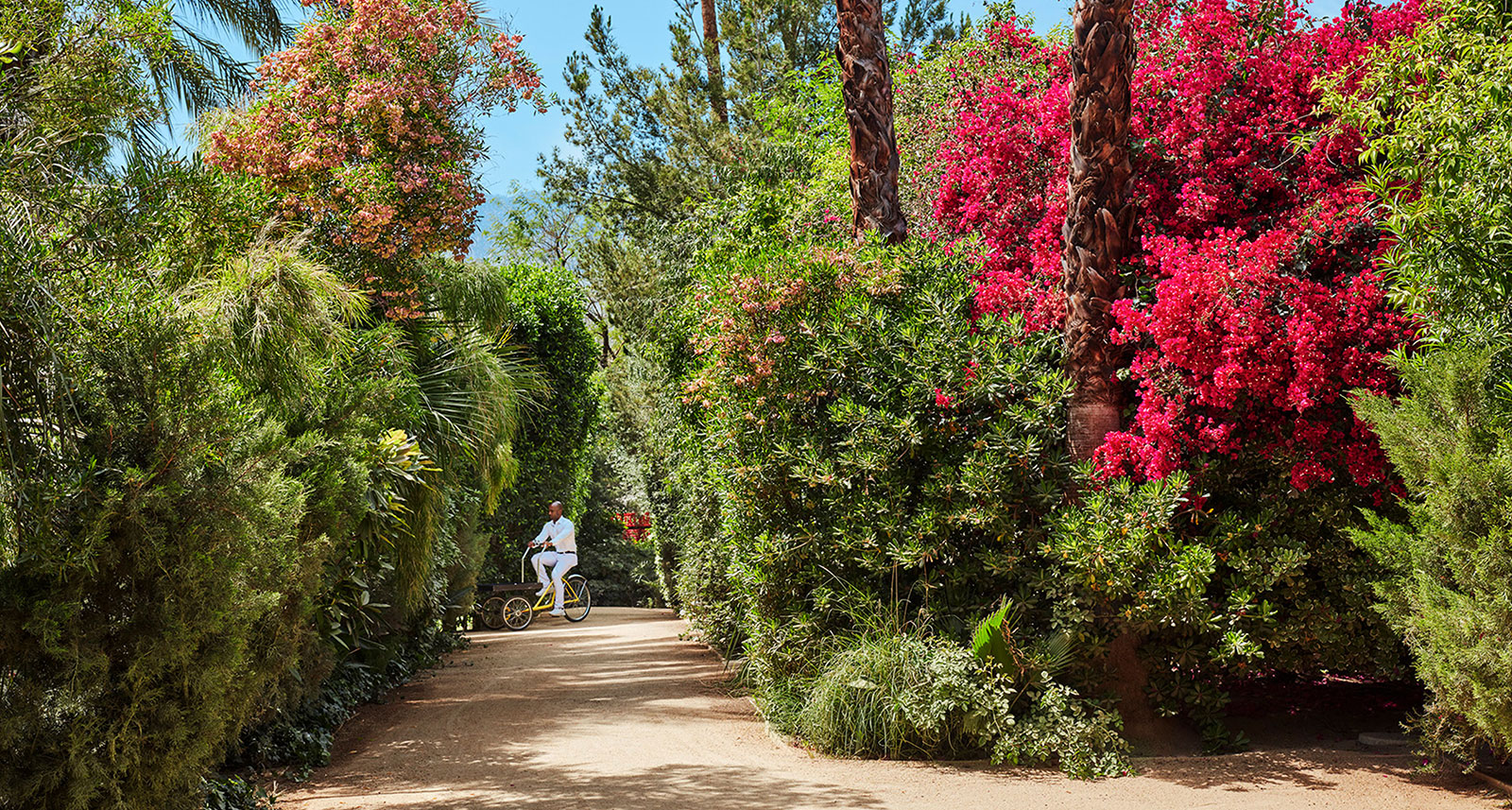 Parker | Welcome to the Best Luxury Palm Springs Resort Hotel