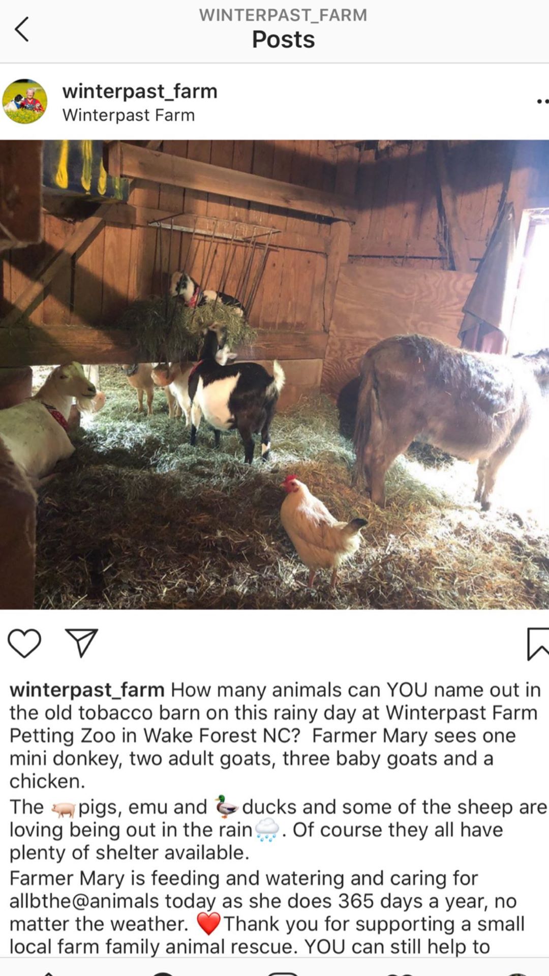 Winterpast Evidence Elvis Story