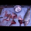 China Fish Markets 14