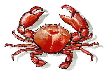 Illustration of a Crab