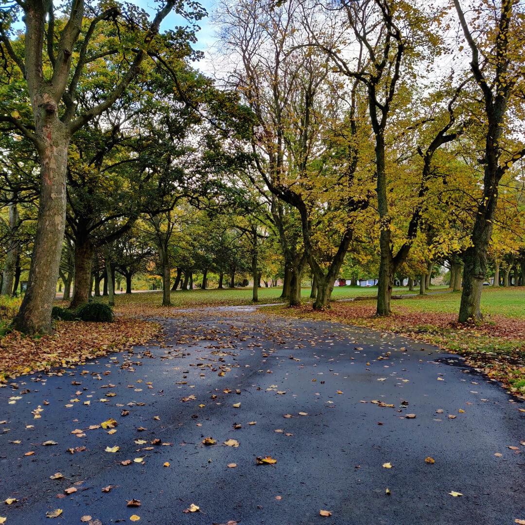 Woodhouse Moor/Hype main path through park