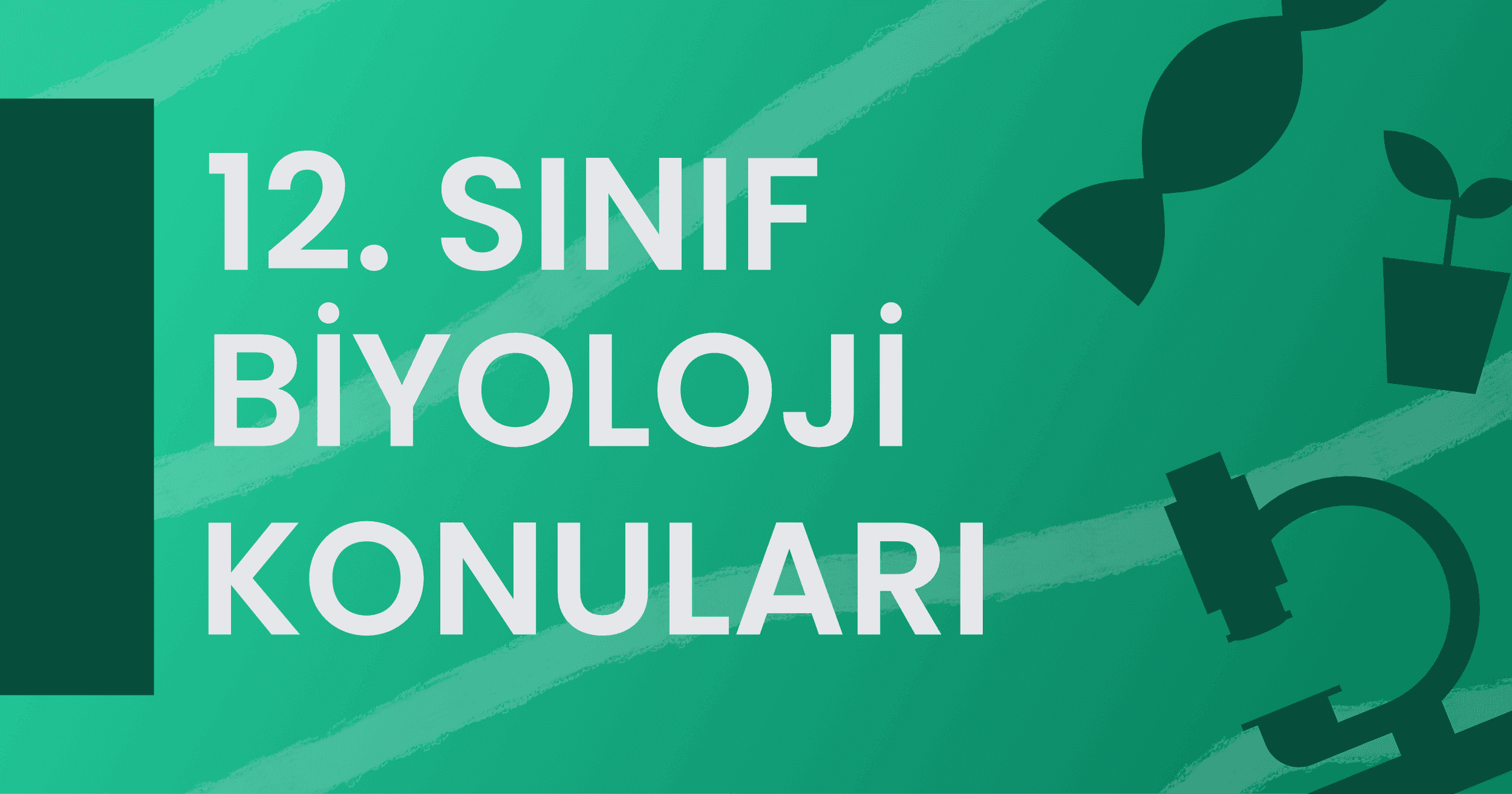 12. Sınıf Biyoloji Konuları