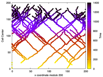 ‘Trails’ left by the particles, i.e. the branched structure of the actin filaments.