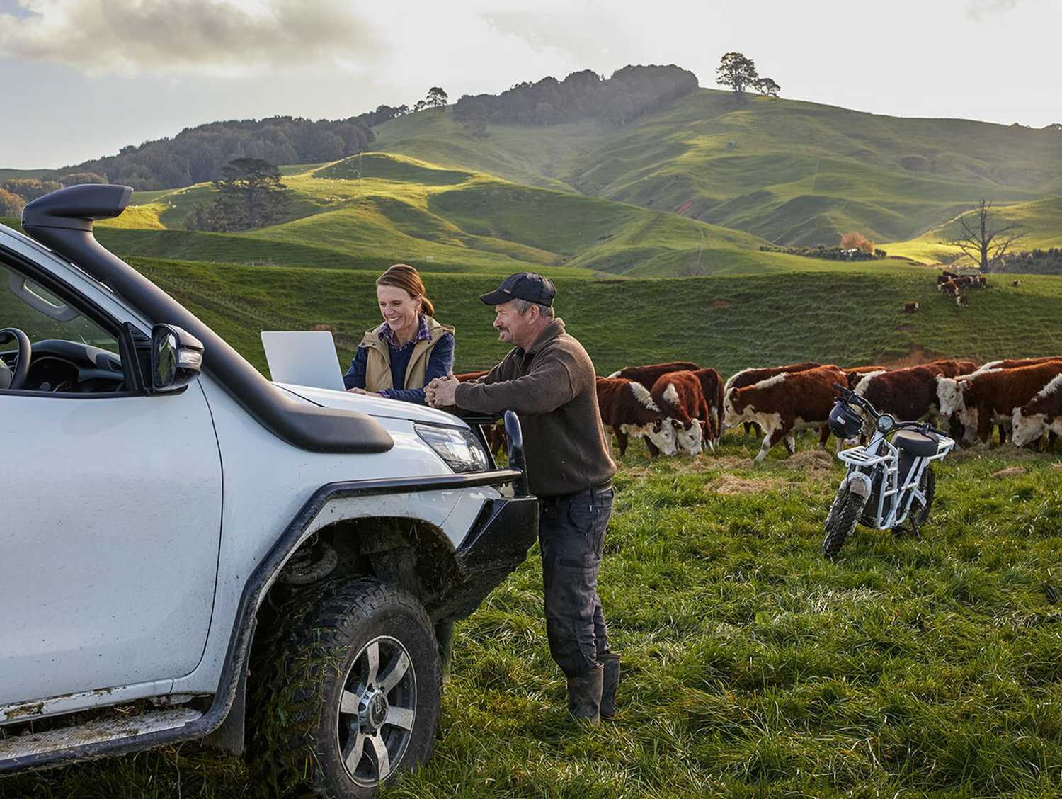 Informed Investor How To Invest In The New Zealand Farming Industry