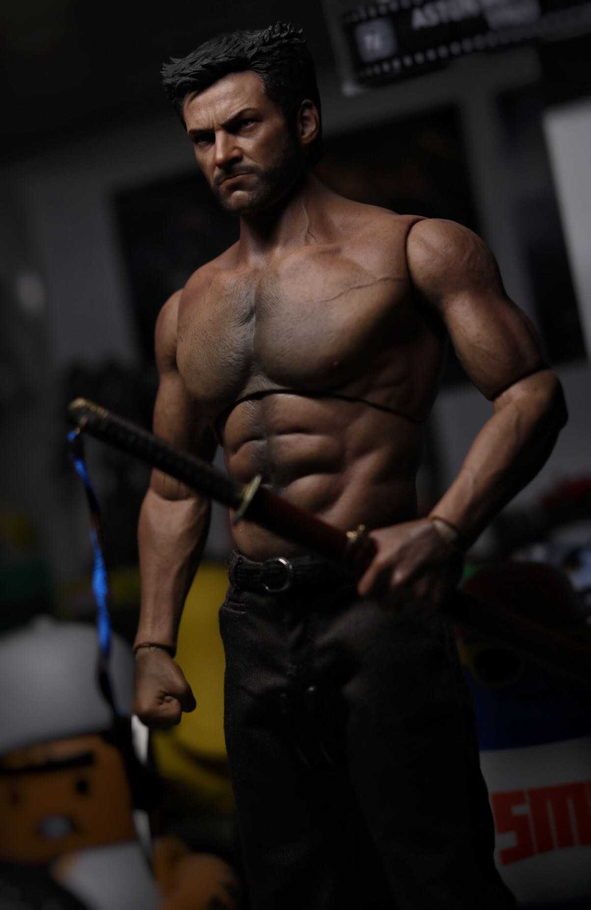 Hot Toys Wolverine With World Box At Body Figround