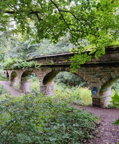 Viaduct with seven arches surrounded by trees and green undergrowth