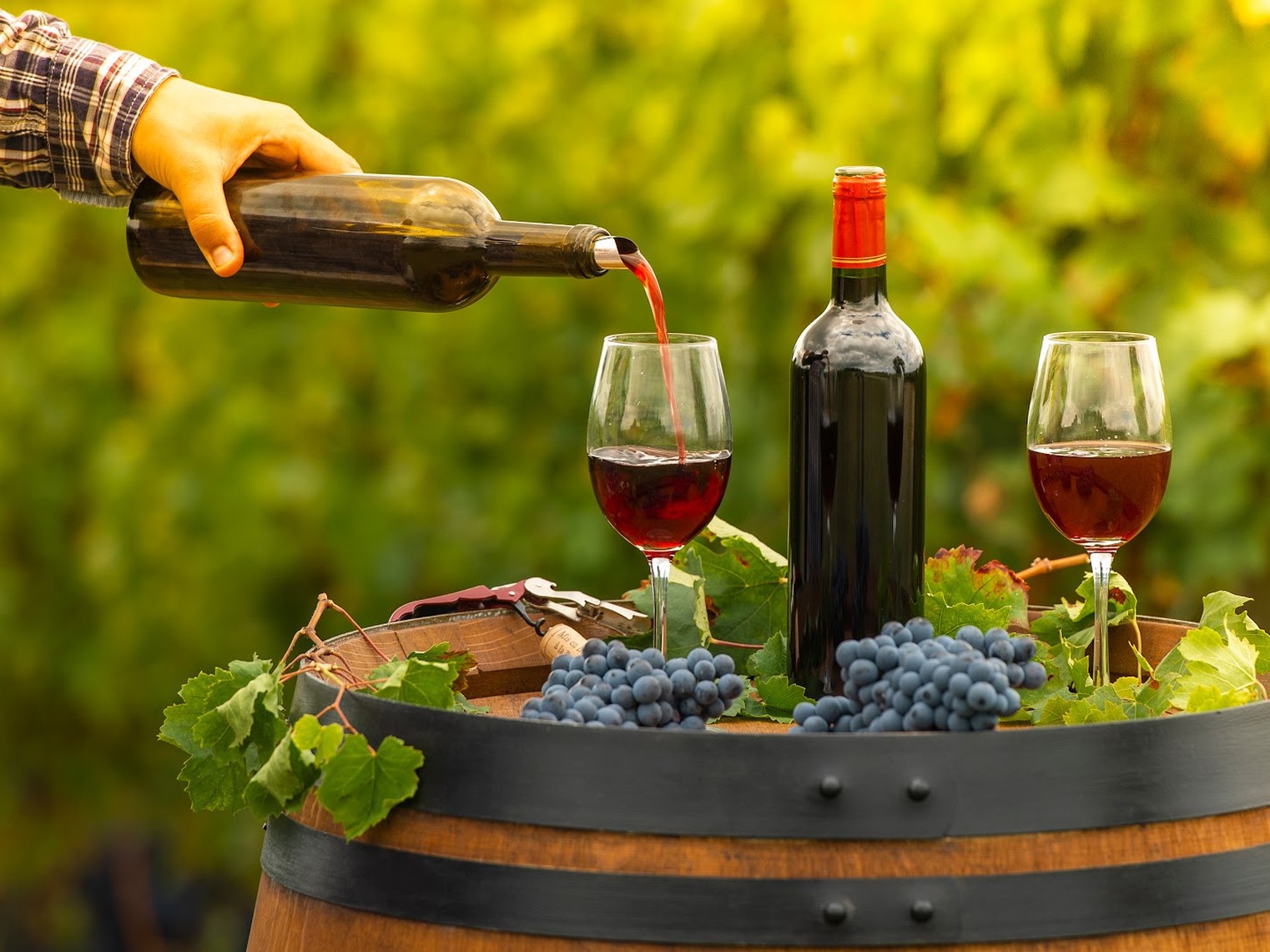 Cheers! The Best Villas On Luxury Wine Estates