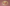 Single Image