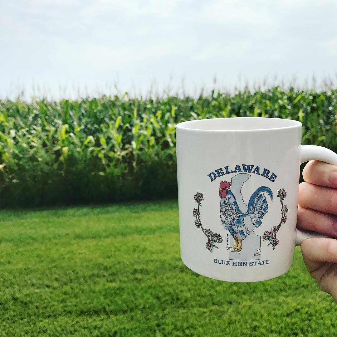 Photo of Delaware mug and a cornfield as the background