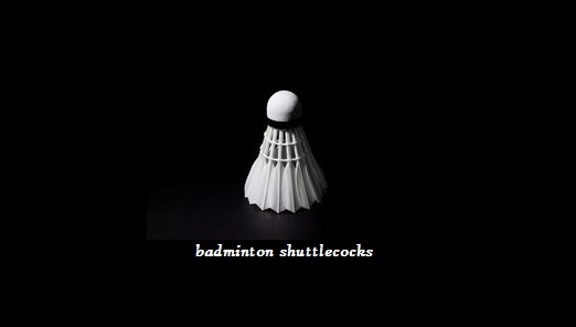 Best badminton Shuttlecocks available online in India